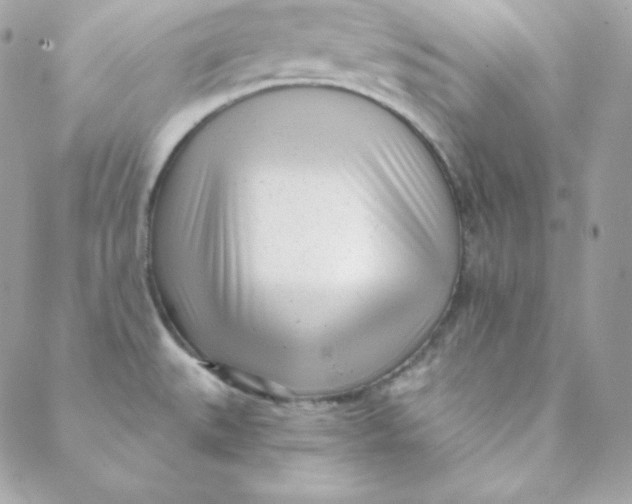 X0000088611527200706151814