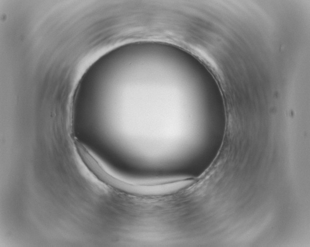 X0000088611528200706151814