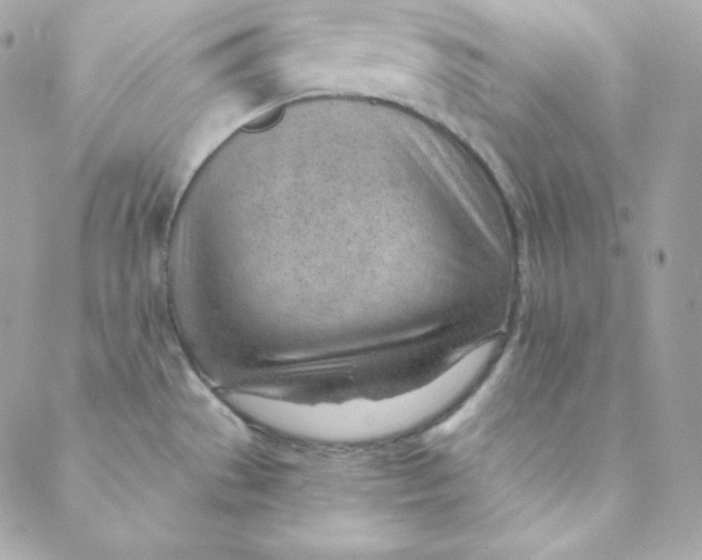 X0000088611529200706151814