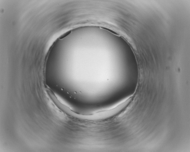 X0000088611530200706151814