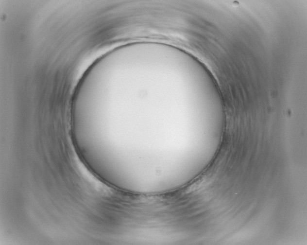 X0000088611531200706151814