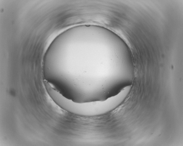 X0000088611532200706151814