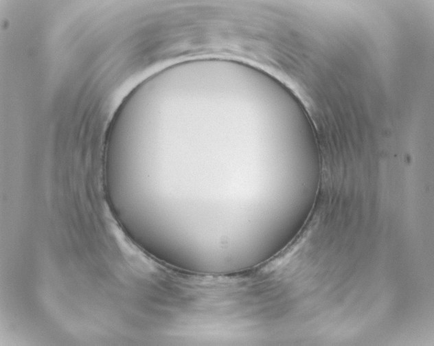 X0000088611534200706151814