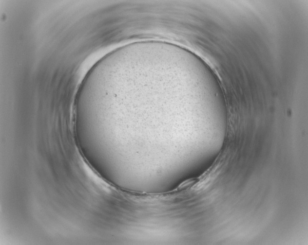 X0000088611535200706151814