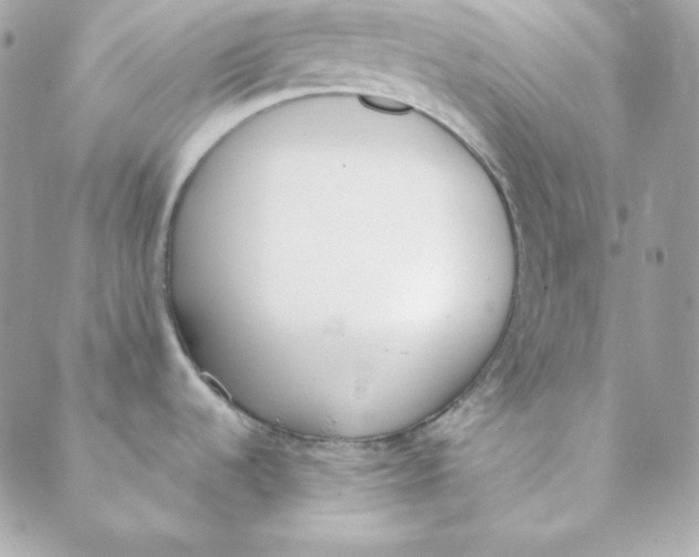 X0000088611536200706151814