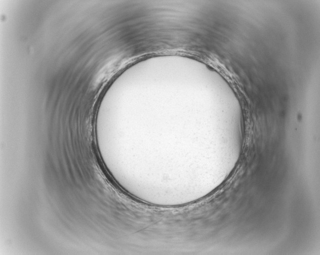 X0000088610002200706221442