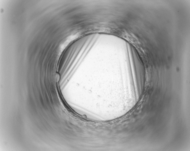 X0000088610003200706221442