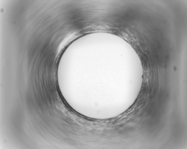 X0000088610004200706221442