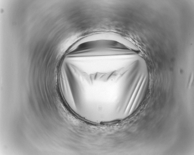 X0000088610005200706221442