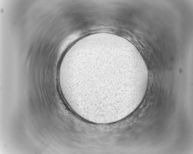 X0000088610006200706221442