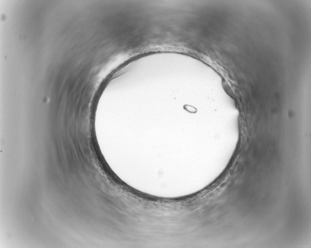 X0000088610008200706221442