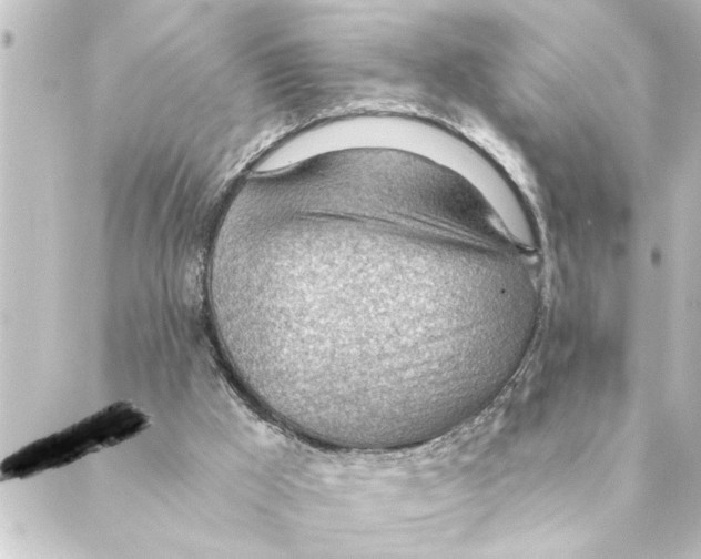 X0000088610009200706221442