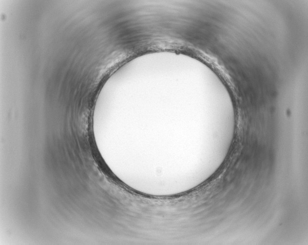 X0000088610010200706221442