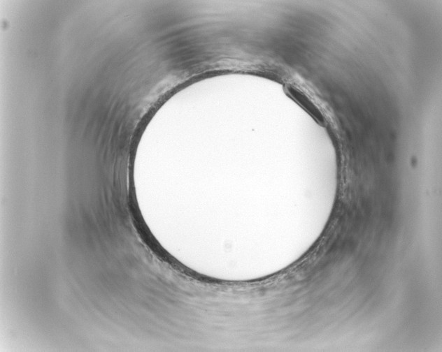 X0000088610011200706221442