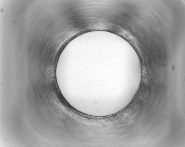 X0000088610012200706221442