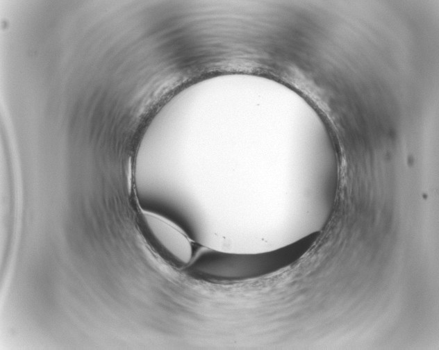 X0000088610013200706221442