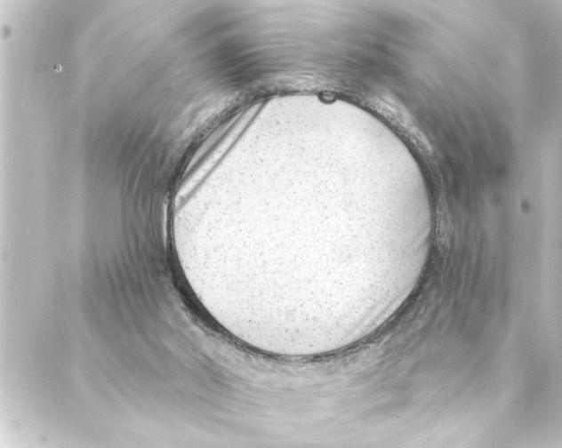 X0000088610014200706221442