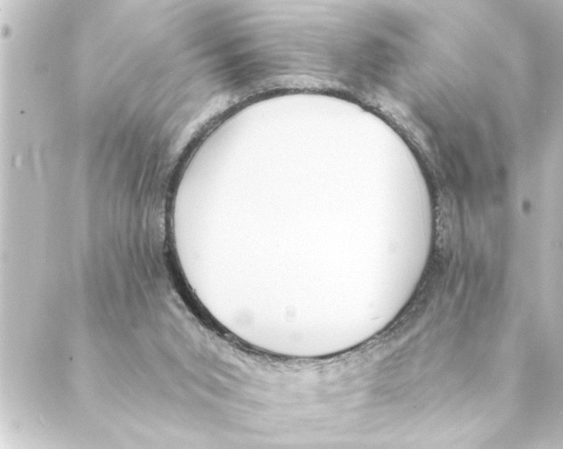 X0000088610015200706221442