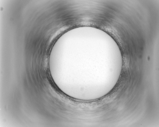 X0000088610016200706221442