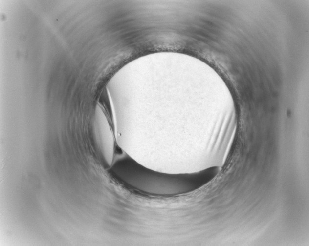 X0000088610017200706221442