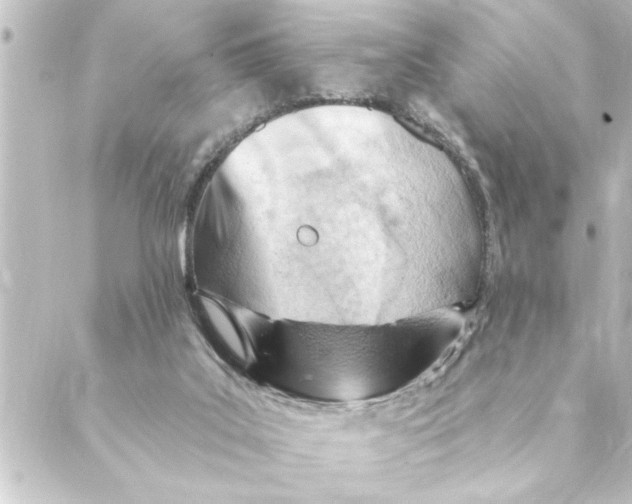 X0000088610019200706221442