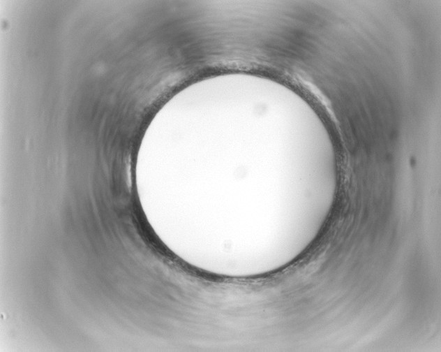 X0000088610020200706221442