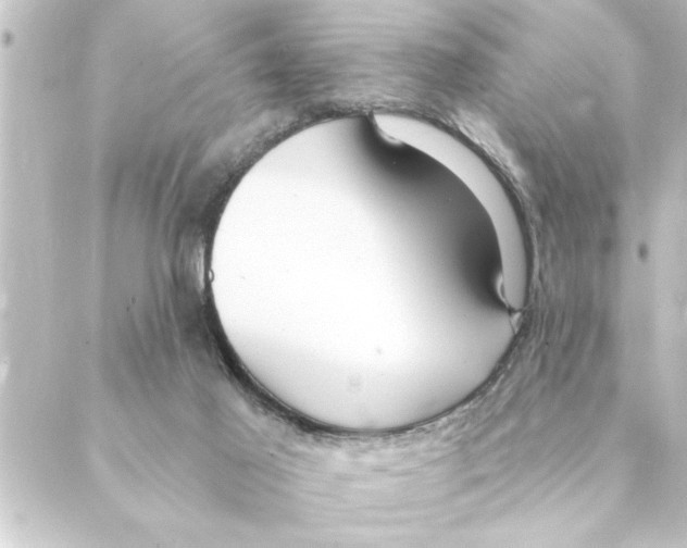 X0000088610021200706221442