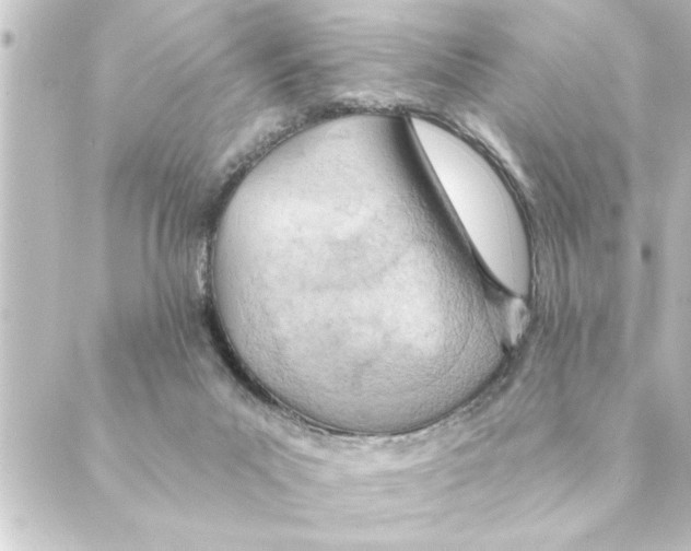 X0000088610023200706221442