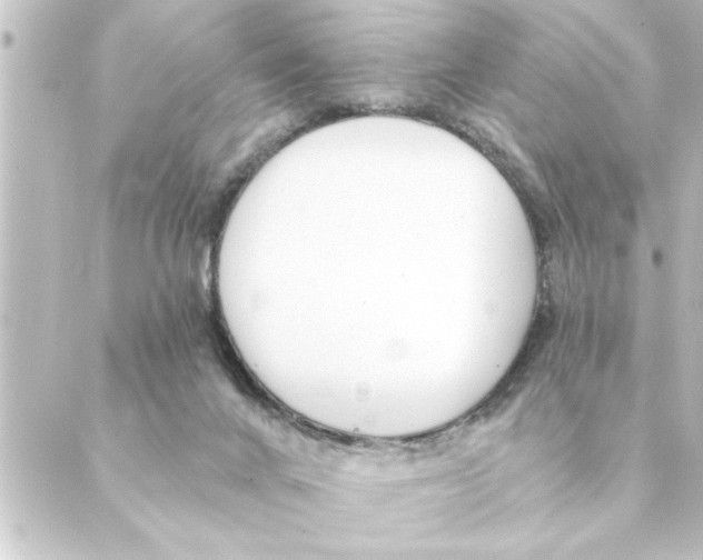 X0000088610024200706221442