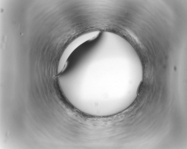 X0000088610025200706221442