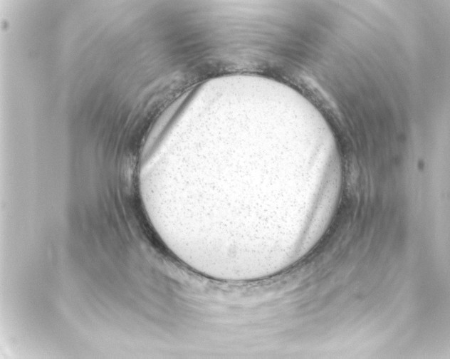 X0000088610026200706221442