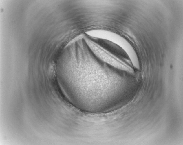 X0000088610029200706221442