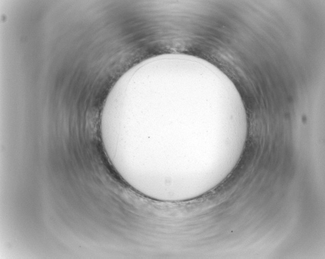 X0000088610030200706221442