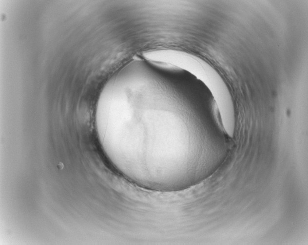 X0000088610031200706221442