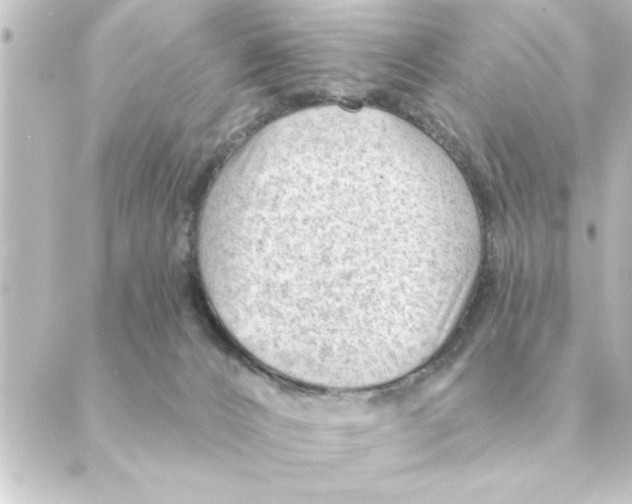 X0000088610032200706221442