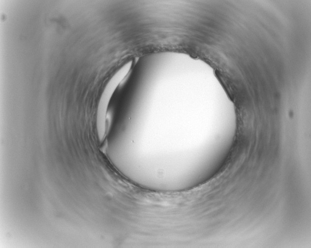 X0000088610033200706221442