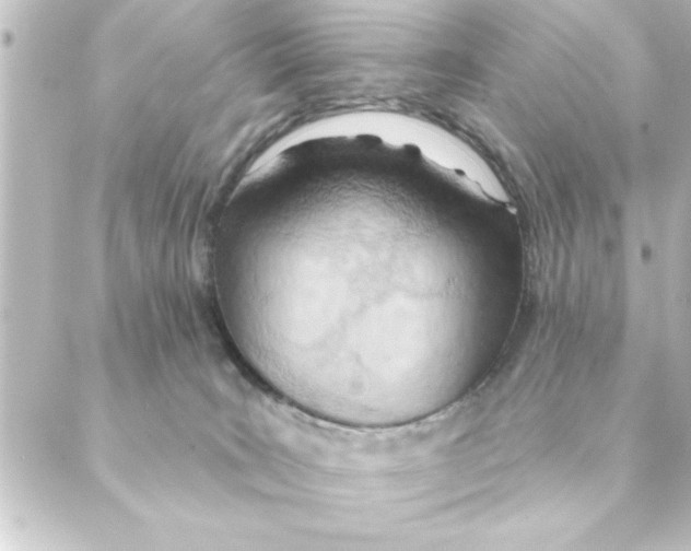 X0000088610035200706221441