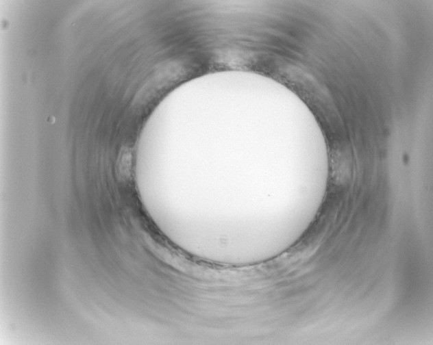 X0000088610036200706221441