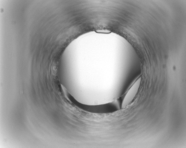 X0000088610037200706221441