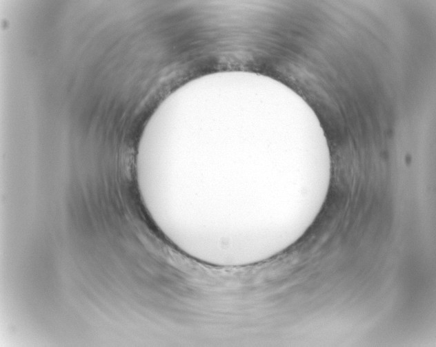 X0000088610038200706221441