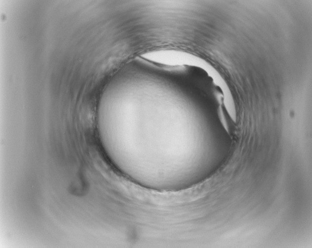 X0000088610039200706221441