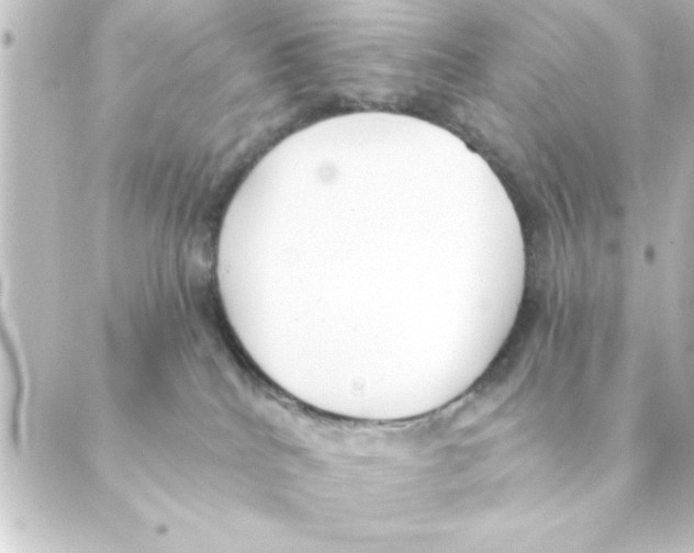 X0000088610040200706221441