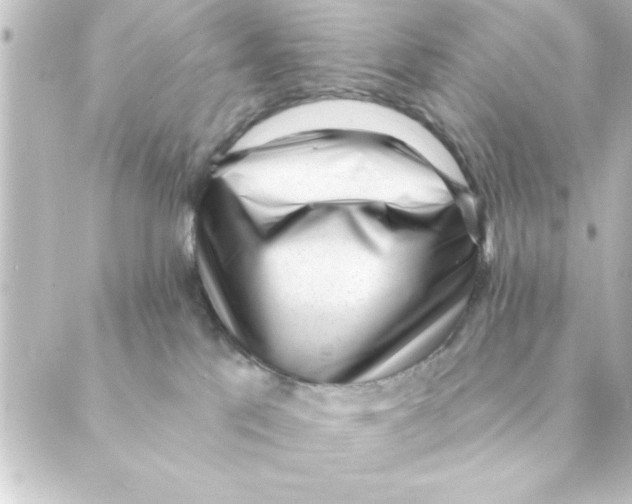 X0000088610041200706221441