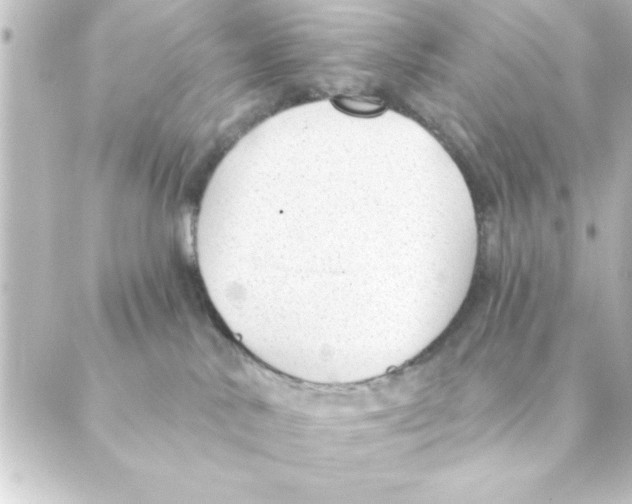 X0000088610042200706221441