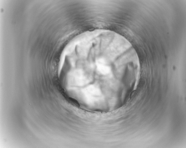 X0000088610043200706221441