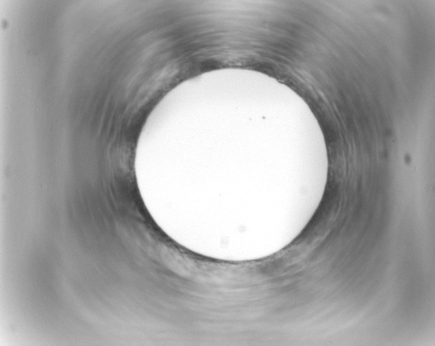 X0000088610044200706221441