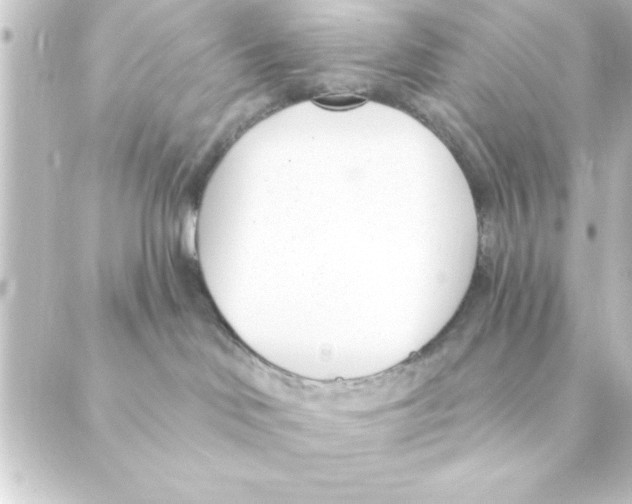 X0000088610046200706221441