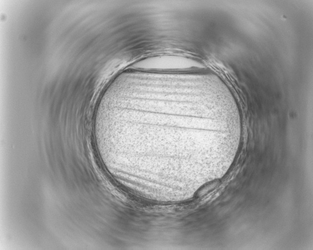 X0000088610049200706221441