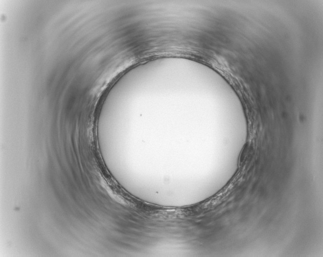 X0000088610050200706221441