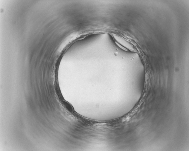 X0000088610054200706221441